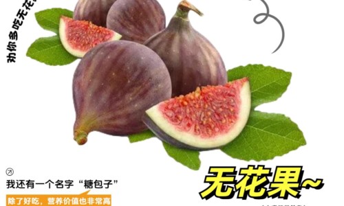 玫瑰花加柠檬片泡水的功效-玫瑰花加黄菊花的功效网 :分享玫瑰花加葛根的功效-玫瑰花加黄菊花的功效与作用知识