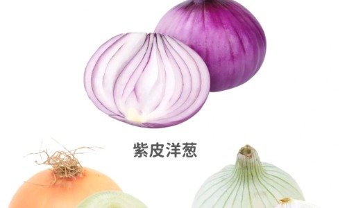 玫瑰花加黄菊花的功效网 :分享玫瑰花加葛根的功效-玫瑰花加黄菊花的功效与作用知识